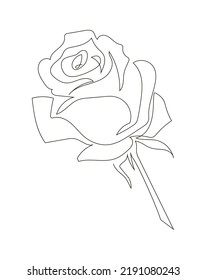 Rose drawn in the style of a single one continuous line. Stock vector illustration, isolated on white background.