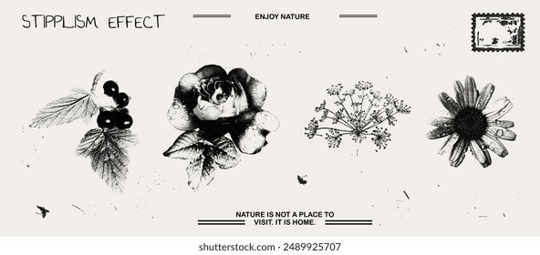 Rose mit Wassertropfen, Kamille, Ast der Johannisbeere, Fenchel-Fotokopie-Effekt-Elemente mit Grunge-Stippling-Korn chaotisch Textur. y2k ästhetische Illustration. Ideal für Poster-Design, T-Shirt