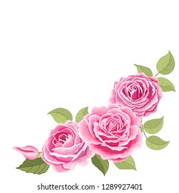 The rose elegant card. Beautiful bouquet of pink flowers and leaves. Floral arrangement isolated on background. Design greeting card and invitation of the wedding, birthday. Vector illustration. Paper