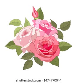 The rose elegant card. Beautiful bouquet of pink flowers and leaves. Floral arrangement isolated on background. Design greeting card and invitation of the wedding, birthday. Red. Vector illustration. 