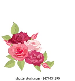 The rose elegant card. Beautiful bouquet of pink flowers and leaves. Floral arrangement isolated on background. Design greeting card and invitation of the wedding, birthday. Red. Vector illustration. 