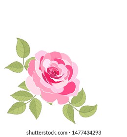 The rose elegant card. Beautiful bouquet of pink flowers and leaves. Floral arrangement isolated on background. Design greeting card and invitation of the wedding, birthday. Red. Vector illustration. 