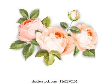 The rose elegant card. A spring decorative bouquet of roses flowers. Small floral garland. Vector illustration.