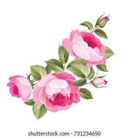 Seamless Floral Pattern Peony Vector Illustration Stock Vector (Royalty ...