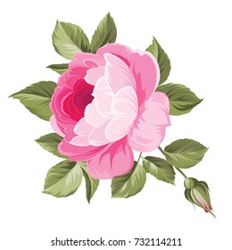 The rose elegant card. A spring decorative bouquet of roses flowers. Small floral garland. Vector illustration.