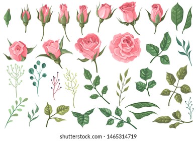 Rose elements. Pink flower buds, roses with green leaves bouquets, floral romantic wedding decor for vintage greeting card. Vector beautiful blossom plant set for fashion print design