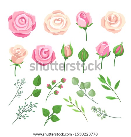 blooming buds of pink roses on a lilac background