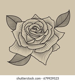 Rose. Engraved style vector illustration.