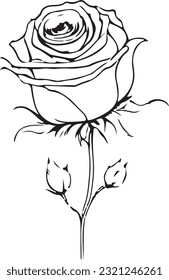 Archivo de usuario de Rose. vector de alta calidad