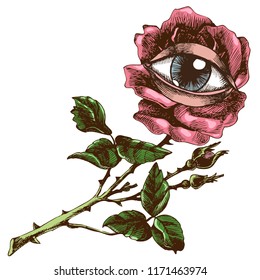 Rose and eye. Hand-drawn vector surreal illustration. Unusual symbolic drawing for your logo design.