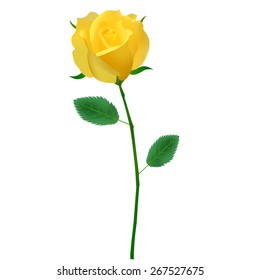  Rose Father's Day icon