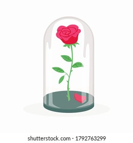 Rose in a flask of glass on the white background. Vector illustration.