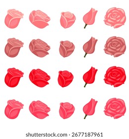 Rose in flat style. Set of roses of different colors for your design. Vector illustration isolated on white background.