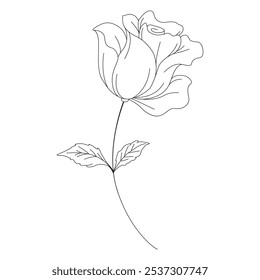 rose flora doodle hand drawn sketch line art flower leaves