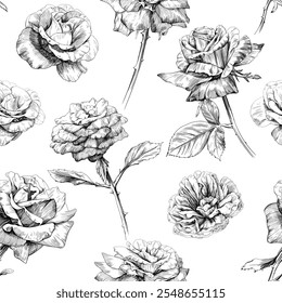 Padrão de flores botânicas florais de rosa. Flor selvagem de folha de primavera selvagem isolada. Coleção de arte em tinta gravada em preto e branco. Elementos isolados de ilustração contínua no plano de fundo branco.