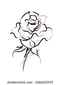 Rose, floral pattern for design, graphic, sketch drawing. 