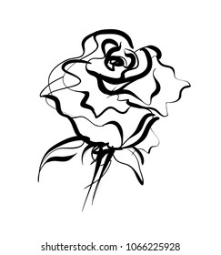 Rose, floral pattern for design, graphic, sketch drawing. 