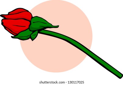 Rose flower