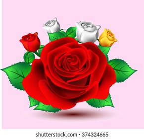 Rose flower