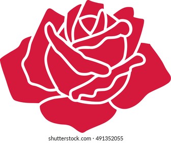 Rose flower