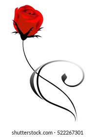 Rose flower.