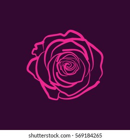 Rose flower