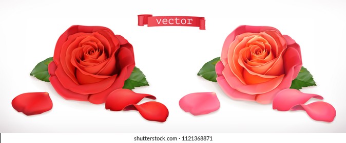 Rose flower. 3d realistic vector icon