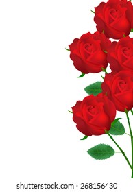  Rose flower background