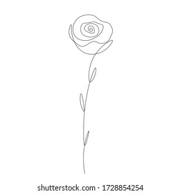 Rose flower background line drawing, vector illustration