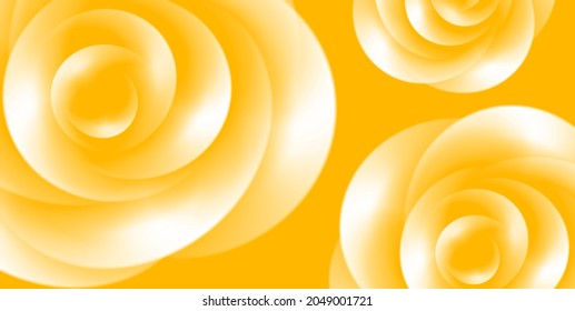 Rose flower background, petals blossom white blend into yellow background