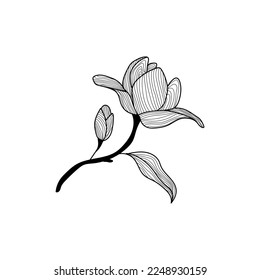 Rose Flower Beauty line art design, logo icon vector design template, suitable for your company