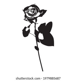 Rose flower black silhouette, vector isolated illustration. Blooming garden flower for greeting card, invitation, poster, banner.