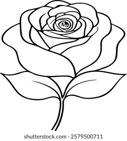 Rose Flower Black and white image for illustration