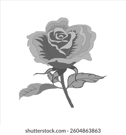 Rose flower. Black and white vector illustration isolated on white background.