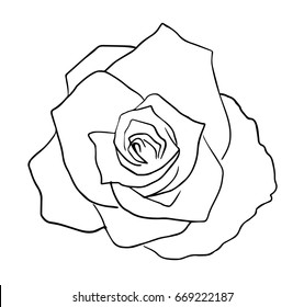 Rose Flower Black White Vector Sketch Stock Vector (Royalty Free ...