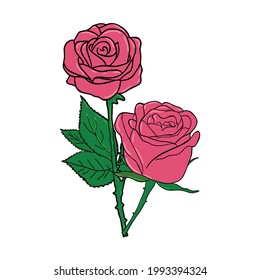 Rose Flower Blossom Bouquet Vector Illustration