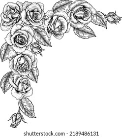 A rose flower border in a woodcut vintage corner frame design element