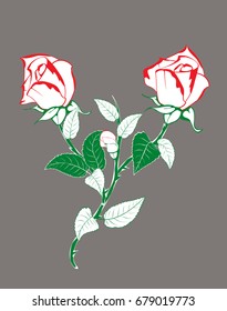 rose flower branch with buds