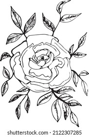 Flor de rosa con ramas, con hojas