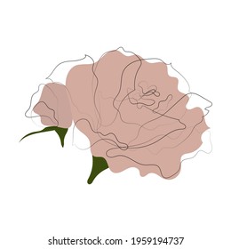 Rose flower bud. Minimalist contour drawing. Artwork for banner, book design, web illustration, cards. Vector lineart. 