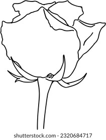 Rose flower bud on stem plant nature doodle linear cartoon coloring