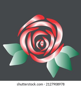 Flor de rosa, brotes aislados en un fondo negro. Rosas multicolores Chameleon. Colección de elementos de diseño decorativo vectorial.