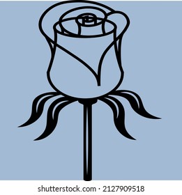 Rose flower, buds isolated on white background. Collection of vector decorative design elements