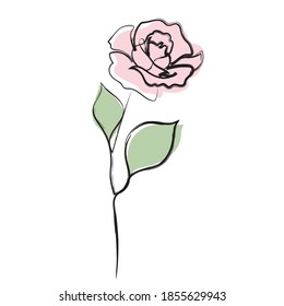 Rose flower color illustration. Continuous one line drawing of rose flower minimalist design. Good for banner, invitation card, book design, web illustration.