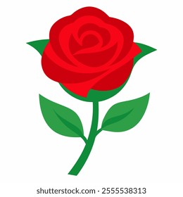 Rose flower color vector on white background