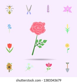 Rose flower colored icon. Universal set of nature for website design and development, app development