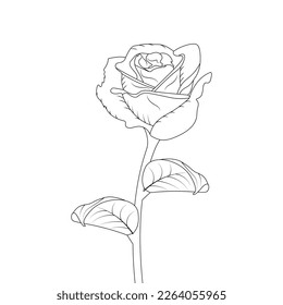 Rose Flower Coloring Page And Book Hand Drawn Line Art Illustration Beautiful Flower Black And White Drawing Vector