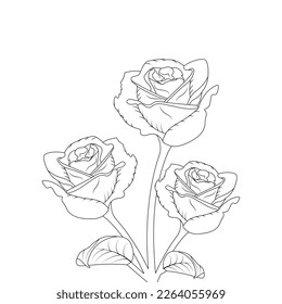 Rose Flower Coloring Page And Book Hand Drawn Line Art Illustration Beautiful Flower Black And White Drawing Vector