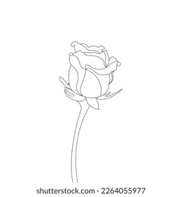 Rose Flower Coloring Page And Book Hand Drawn Line Art Illustration Beautiful Flower Black And White Drawing Vector