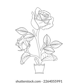 Rose Flower Coloring Page And Book Hand Drawn Line Art Illustration Beautiful Flower Black And White Drawing Vector